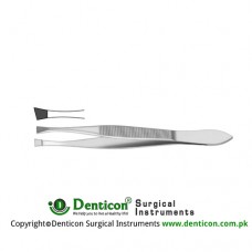 Bergh Cilia Forcep Serrated Stainless Steel, 8.5 cm - 3 1/4"